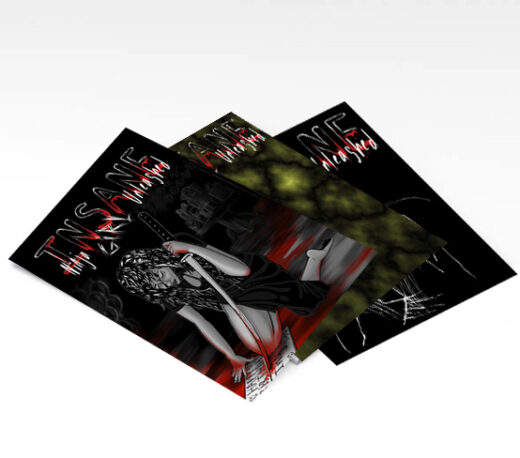 Series Subscription: Insane Ninja Girl